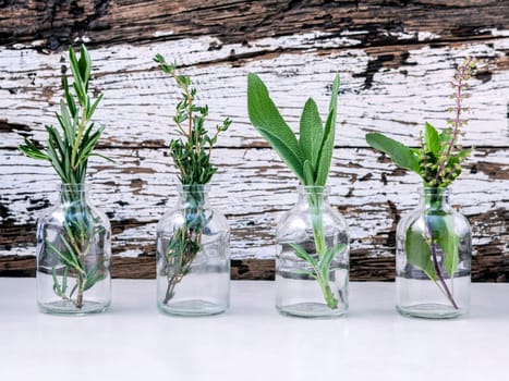 Bottle of essential oil with herbs rosemary, sage,holy basil and thyme  set up on old wooden background .