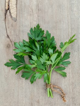Close up branch of fresh parsley for seasoning concept on rustic old wooden background.