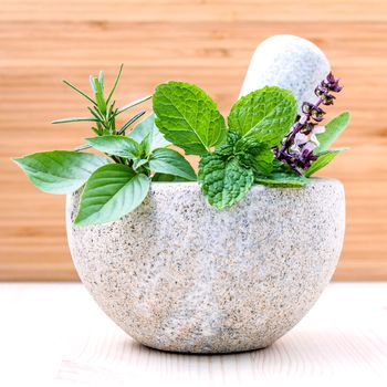 Alternative health care fresh herbs basil ,sage ,rosemary and mint in the mortar on wooden background.
