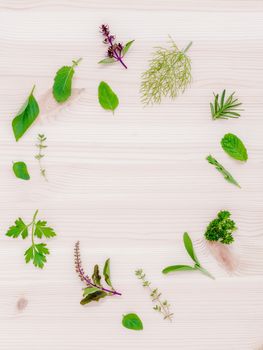 The circle of fresh herbs from the garden set up on white wooden background.