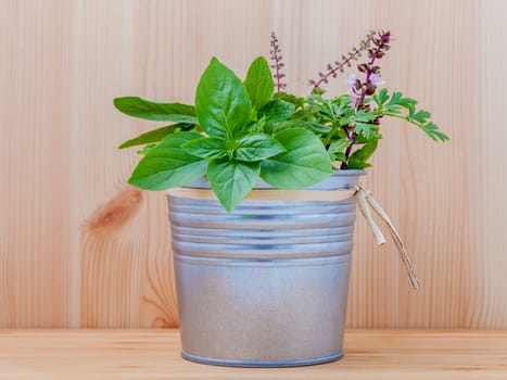 The fresh herbs from the garden set up in metal pot on white wooden background.