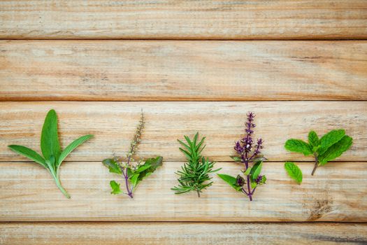 Various fresh herbs from the garden holy basil flower, basil flower,rosemary, sage over rustic wooden background.