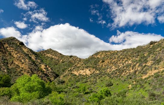 Majestic Towsley Canyon in Newhall, California near Los Angeles.