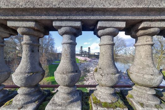 View of Cherry Blossoms Trees through the stone baluster on Burnside Bridge in Portland Oregon during Spring