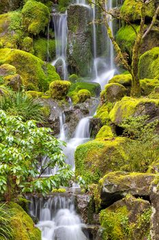 Waterfall at Japanese Garden with green moss on rocks in Spring Season