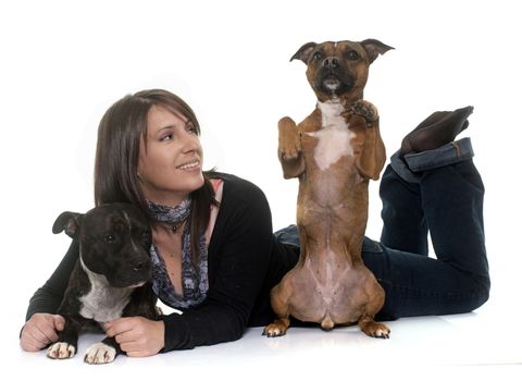 woman and staffordshire bull terrier in front of white background