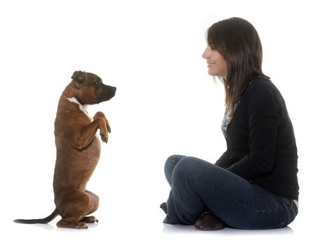 woman and staffordshire bull terrier in front of white background
