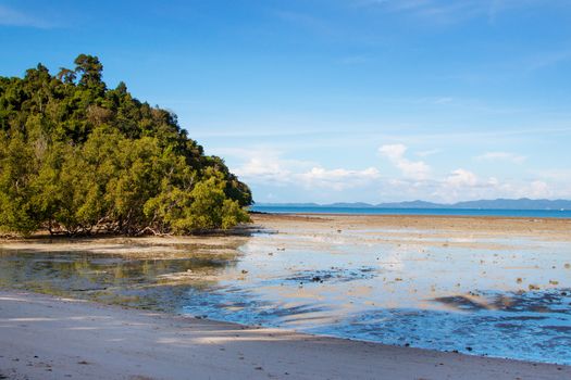 Beautiful Thai coast with low tide sea water and green foliage