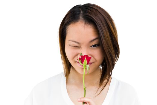 Close-up of happy young woman smelling rose on white background