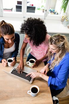 High angle view of female friends using laptop while drinking coffee at home