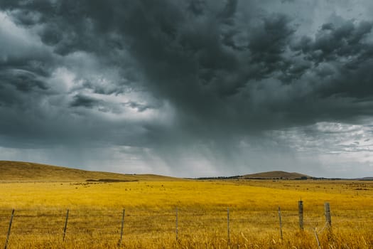 A storm is brewing over crops after a sever heatwave in Melbourne.