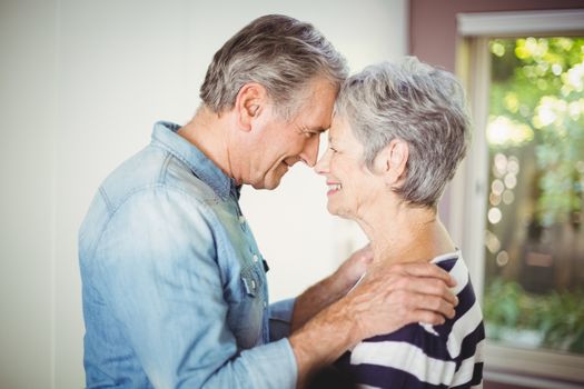 Romantic senior husband embracing wife at home