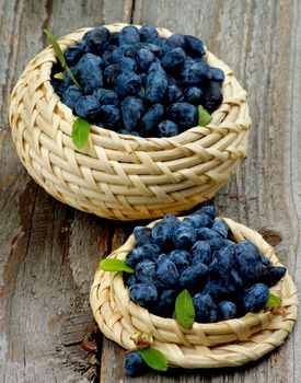 Two Wicker Bowls Full of Fresh Ripe Honeysuckle Berries on Rustic Wooden background