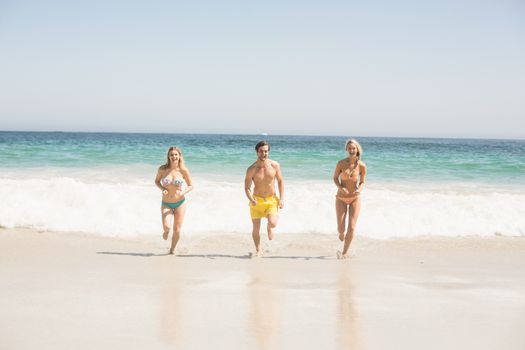 Happy young friends running on the beach on a sunny day