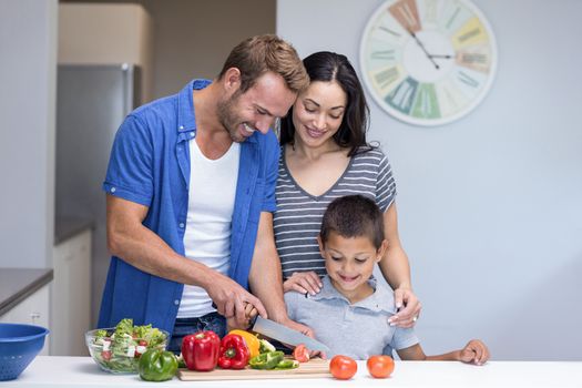 Happy family in the kitchen chopping vegetables at home
