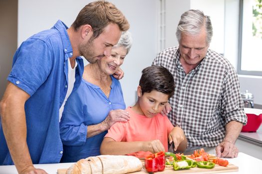 Happy family in the kitchen chopping vegetables at home