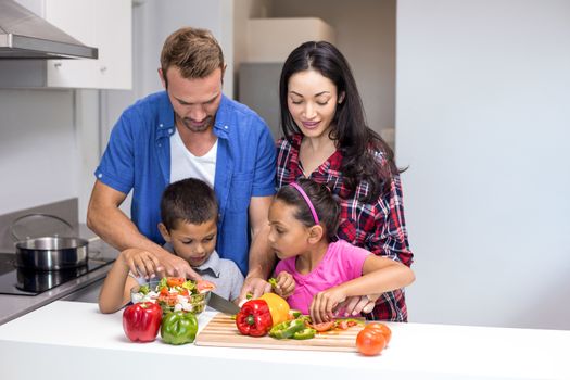 Happy family in the kitchen chopping vegetables at home