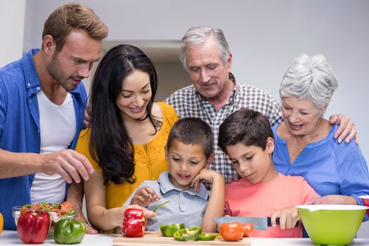 Happy family in the kitchen chopping vegetables at home