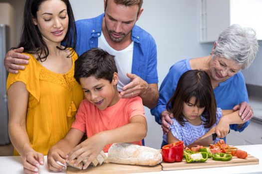 Happy family in the kitchen chopping vegetables at home