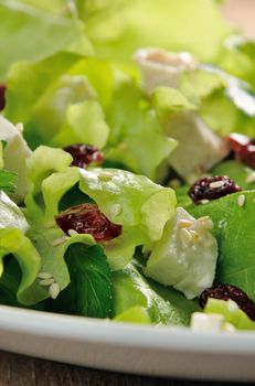 Salad of lettuce with dried cranberries, feta, sesame and chicken breast