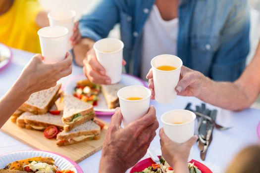 Family having a picnic and toasting at the beach