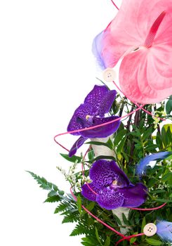 bouquet of flowers orchid on a white background