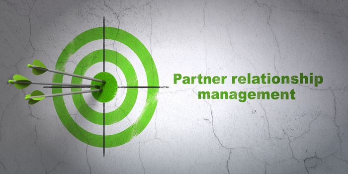 Success business concept: arrows hitting the center of target, Green Partner Relationship Management on wall background