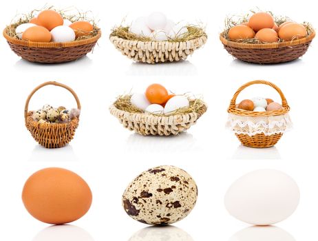 set of eggs on a white background