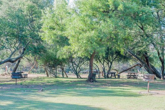 A fenced picnic area in the Mountain Zebra National Park near Cradock in South Africa