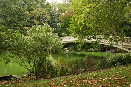 Bridge in park, Central Park, New York City, New York, USA