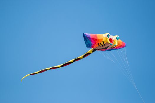 Big Flying Rainbow ray fish Kite on blue back ground