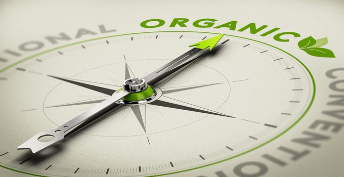 Compass with needle pointing the word organic. Green and grey tones over beige background, Conceptual illustration for healthy eating and organic farming.