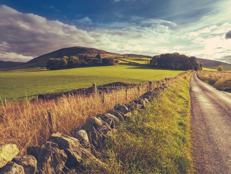 Country Road Or Lane And Dry Stone Wall Through Scottish Rural Lanscape At Dusk