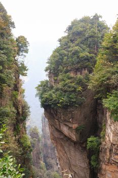 Zhangjiajie national park ( tian zhi shan ) ( Tianzi Mountain Nature Reserve ) and fog , China