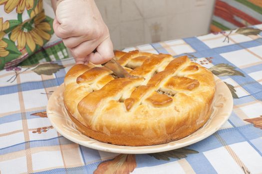 Making pie. Cutting the tasty pie with filling on the plate