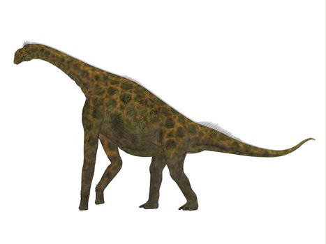 Atlasaurus was a large herbivorous dinosaur that lived in the Jurassic Period of Morocco, North Africa.