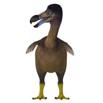 The Dodo is an extinct flightless bird that lived on Mauritius Island in the Indian Ocean.