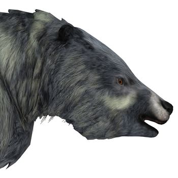 Eremotherium was one of the largest ground sloths that lived in North and South America in the Pleistocene Period.