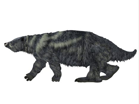 Eremotherium was one of the largest ground sloths that lived in North and South America in the Pleistocene Period.