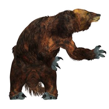 Megatherium was one of the largest ground sloths that lived in Central and South America in the Pliocene to the Pleistocene Periods.