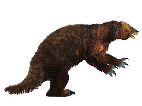 Megatherium was one of the largest ground sloths that lived in Central and South America in the Pliocene to the Pleistocene Periods.