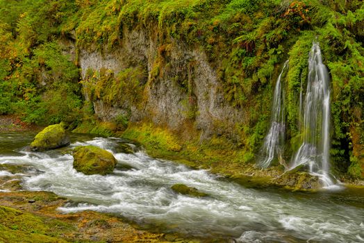 Beautiful Salmon Creek Falls surrounded by lush green vegetation.