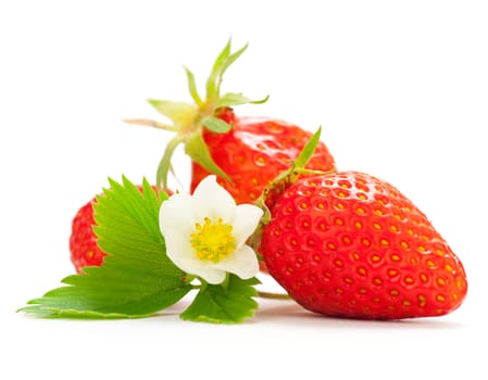 Three strawberries, one white flower and green leaves over white background