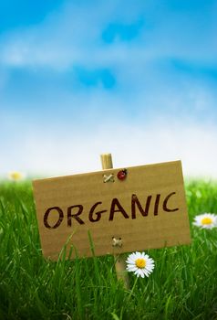 cardboard sign with the word organic handwritten, natural landscape, vertical image