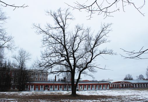 Landmark museum of the History of aviation engine and repair and tree in Gatchina, spring 2016. Leningrad region, Gatchina.