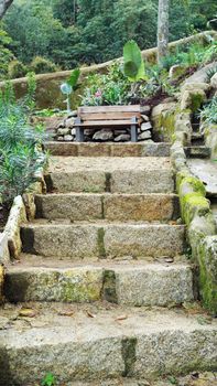 Detail of a forest trail, Sintra, Portugal