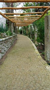 Detail of a forest trail, Sintra, Portugal