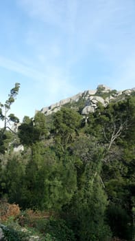 Castle of Sintra, Sintra, Portugal