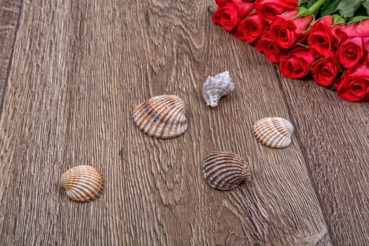 Sea shells and red roses on a wooden background
