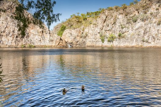 a water pool at Litchfield national park, australia